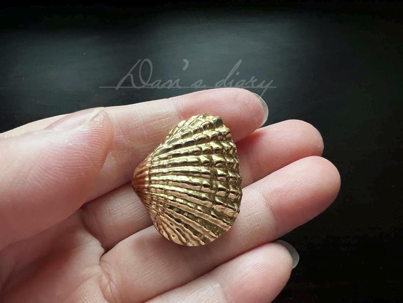 May include: A gold-colored seashell pendant with a detailed textured surface.