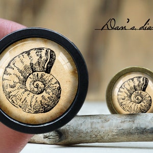 Op de afbeelding: Twee ronde kastknoppen met een vintage fossielontwerp. Eén knop is zwart, de andere brons. De fossielillustratie is zwart op een bruinachtige achtergrond. De knoppen liggen op een houten oppervlak. De tekst "Olan's diary" staat op de achtergrond.