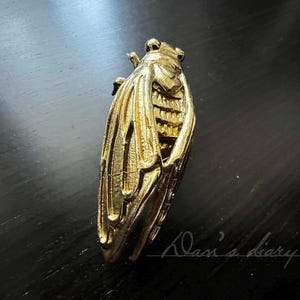 May include: A gold-colored cicada brooch with intricate details. The wings are detailed with lines and the body is textured.