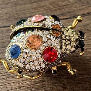 May include: A gold-coloured ladybird brooch adorned with clear and colourful rhinestones. The brooch features a variety of coloured stones, including red, blue, orange, and pink, set against a backdrop of smaller clear stones. The ladybird has gold-coloured legs and antennae.