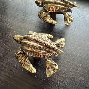 May include: Two brass turtle-shaped cabinet pulls. The pulls feature detailed textured shells, flipper-like legs, and small heads. The hardware is a warm gold colour, and the pulls are set against a dark wood surface.