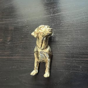 Pode incluir: Uma escultura de metal dourada de um cão sentado com a cabeça levantada. O cão tem uma pelagem curta e lisa e um focinho longo.