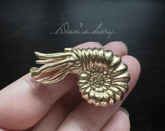 Brass Snail Cabinet Knob - Nordic Style Drawer Pull