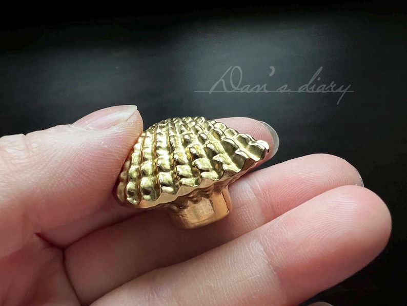 May include: A gold-toned cabinet knob with a textured, shell-like design.