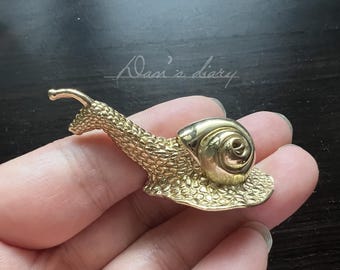 Tirador de armario de latón macizo con forma de caracol: tirador de cajón para cocina