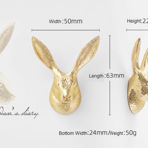 Messing Knäufe: Modernes Gold Dekor,CP-0799 Bild 3