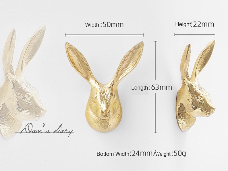 Messing Knäufe: Modernes Gold Dekor,CP-0799 Bild 3