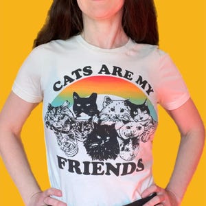 May include: White t-shirt with a rainbow arc and the text "Cats are my friends".  Five cat faces are arranged around the arc.