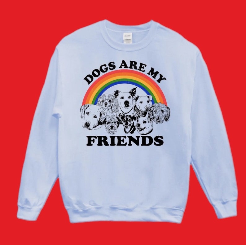 This unisex crew neck sweatshirt features a cute graphic hand drawn print of a group of sweet rescue dogs with a rainbow over their heads and the words "Dogs Are My Friends". It is colorful and whimsical and universally appealing.