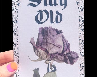 POSTCARD Stay Old ROSE