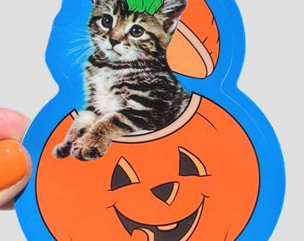 Halloween Pumpkin Cat Sticker
