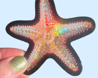 Starfish Sticker