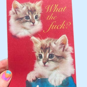 May include: A rectangular greeting card with a vibrant red background featuring two fluffy brown and white tabby kittens. One kitten is positioned at the top left, and the other is inside a blue container. The text What the fuck? is in yellow.