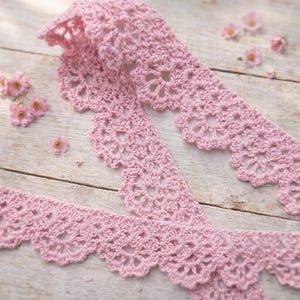 May include: A length of delicate, light pink crochet lace with a scalloped edge. The lace is arranged on a light wooden surface, with small pink flowers scattered around. The lace has a floral pattern.