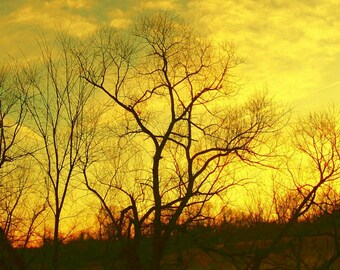 Electric Sunset - Florida, NY