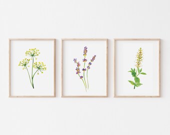 Watercolor Herbs Flowers Printable Art Set of 3 prints Instant Digital Download, watercolour flowering herb bloom art kitchen print decor