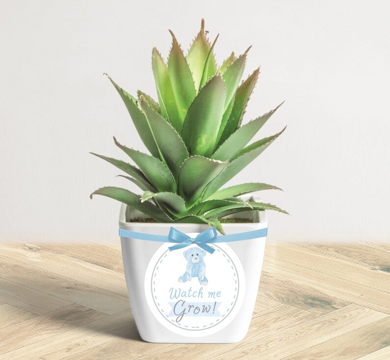 potted plant baby shower favors