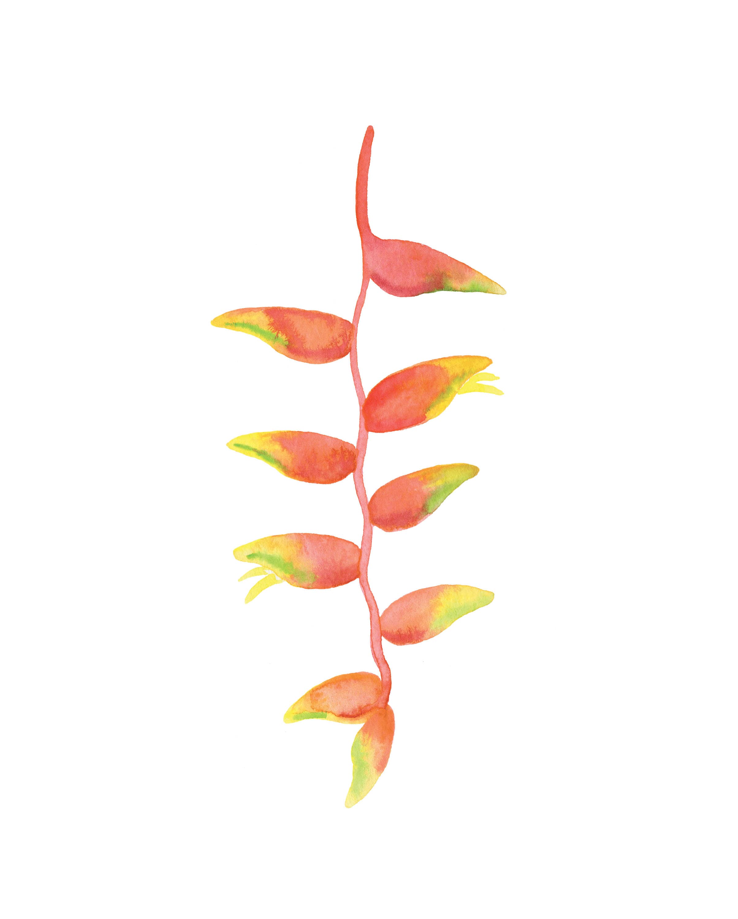 Tropical Flowers Printable Art Set of 4 Prints Instant Etsy