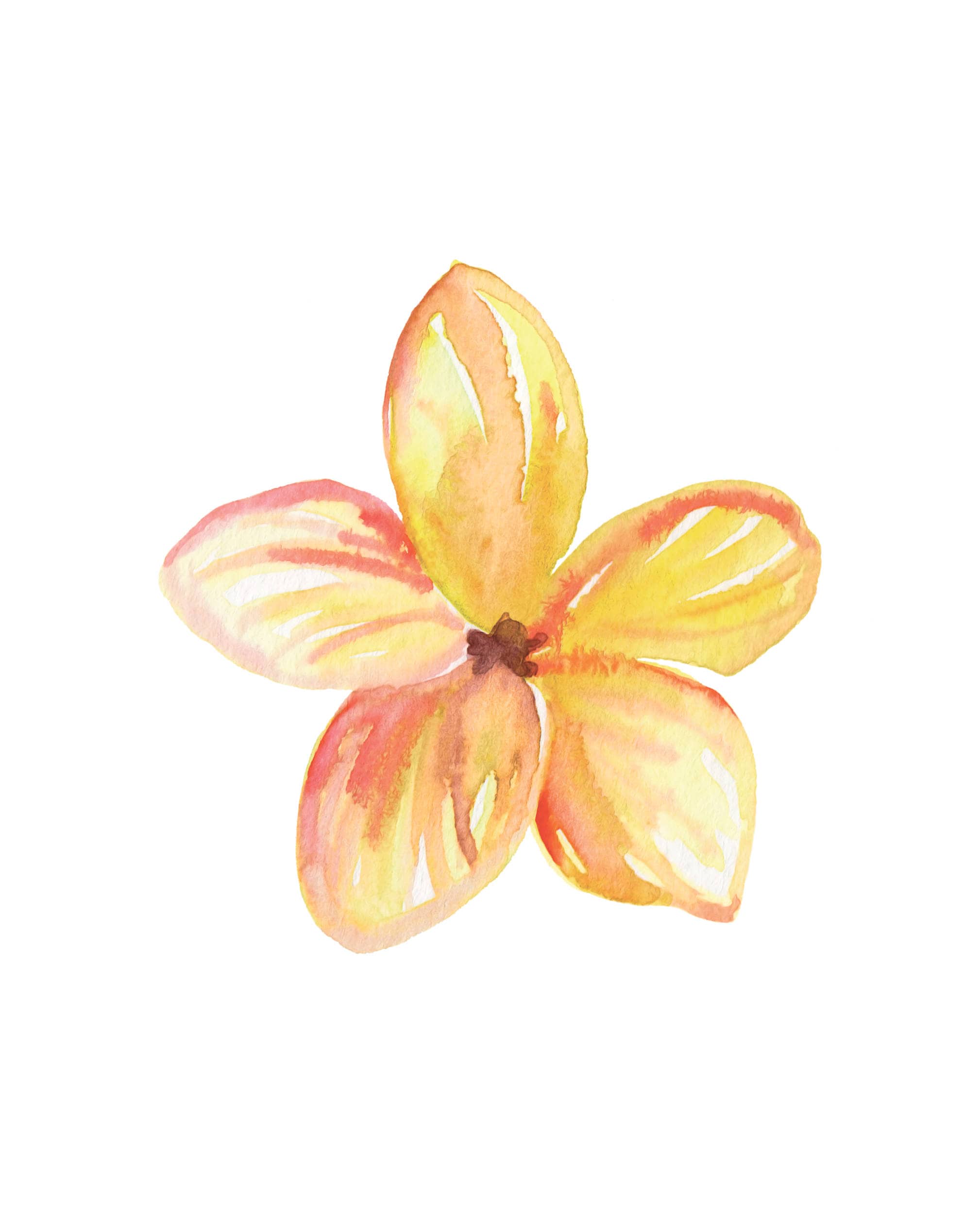 Tropical Flowers Printable Art Set of 4 Prints Instant - Etsy
