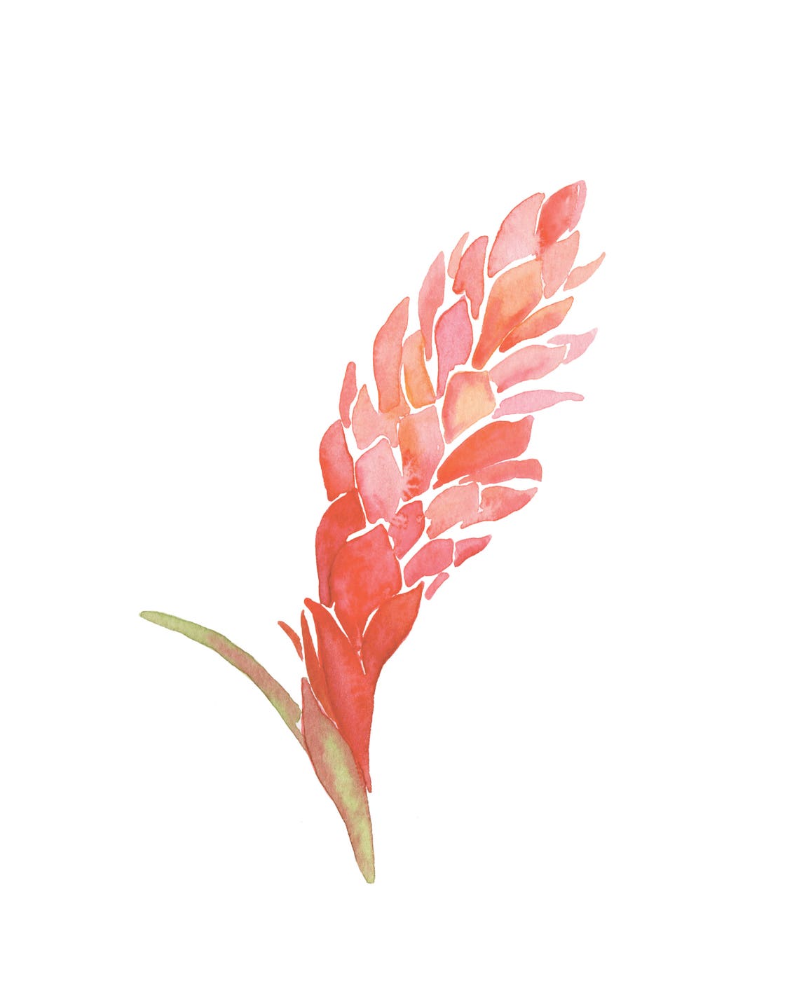Tropical Flowers Printable Art Set of 4 Prints Instant - Etsy