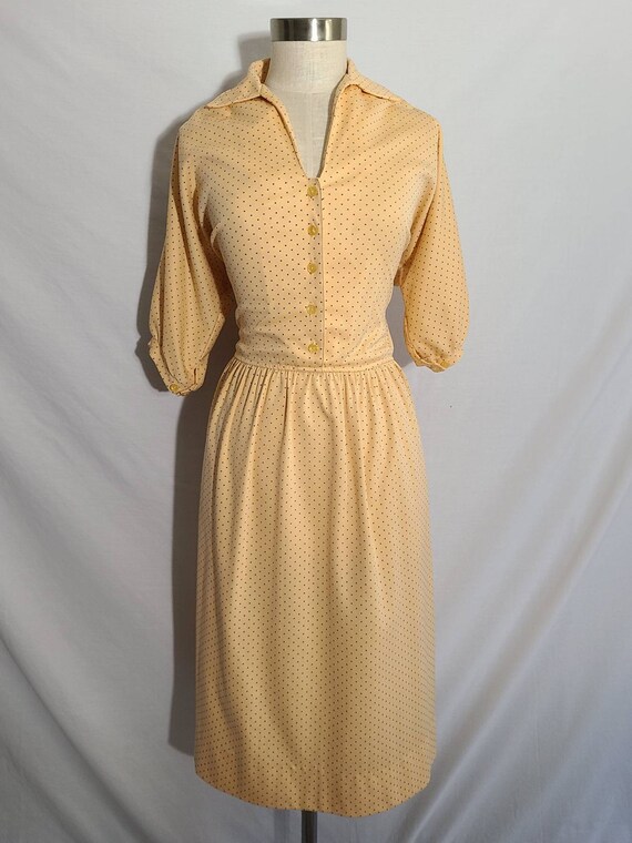 Vintage Clothing, Womens 70s Dress, Polka Dot, Pe… - image 2