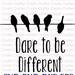 Birds on a Line, Dare to Be Different,  SVG, PNG, EPS, Dxf Digital files only, Cricut, Silhouette, bird, nature