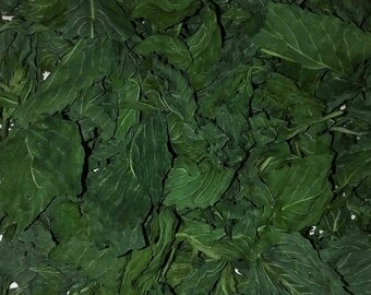 Mint Herb - 1 oz Japanese Peppermint (Mentha Arvensis) Organic Dried Leaves
