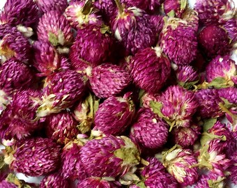 Globe Amaranth - 1 oz - Gomphrena Globosa - Organic Dried Flowers