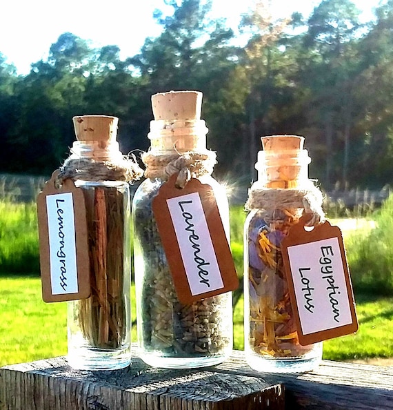Mini Apothecary Herb Bottles Organic Botanical Vials Wicca Decor Altar Gift