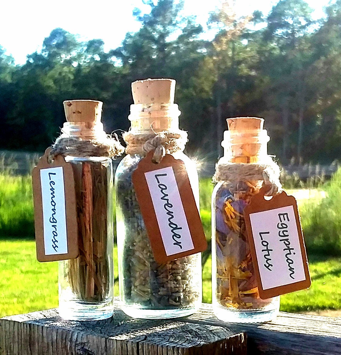 Apothecary Herb Bottles - Wicca Pagan Altar Space Herbs Chakra Reiki …