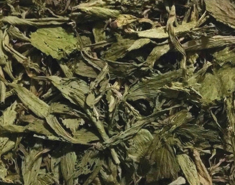 Stevia rebaudiana Sweet Leaf Sugar Substitute Plant Natural Dried Herb Edible Medicinal Tea Plant Organic Dried Stevia Leaves