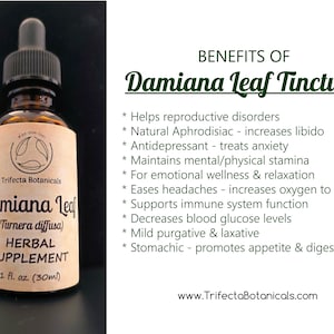 DAMIANA LEAF Herbal Supplement / 1:4 Dried Leaf Liquid Extract