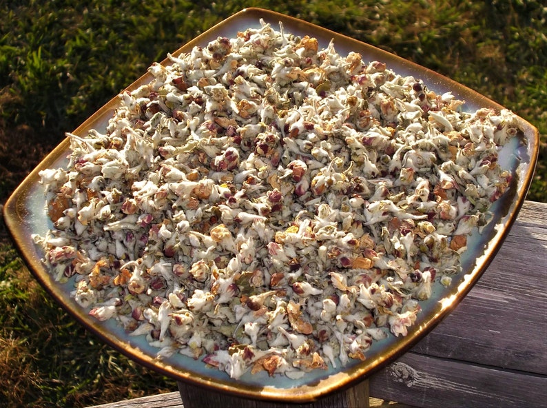 Organic Apple Blossoms Malus pumila Dried Apple Flowers Etsy