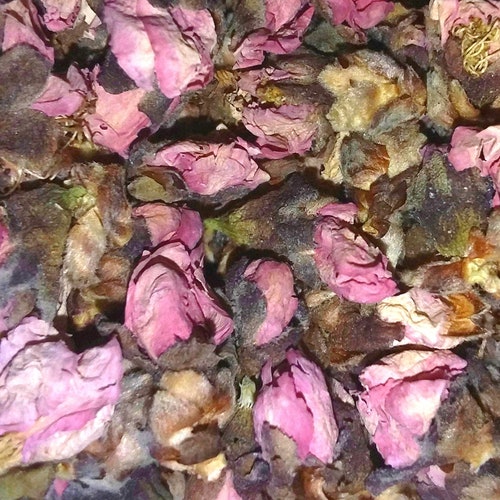 Peach Blossoms Prunus Amygdalus Persica Dried Organic Etsy