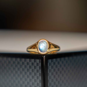 Moonstone Signet Ring in Gold Vermeil, Rainbow Moonstone Ring, Minimalist Pinky Ring, Gold Moonstone Ring, June Birthstone, Graduation Gift