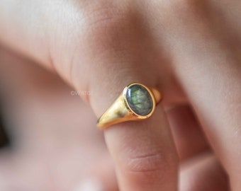 Labradorite Signet Ring, Labradorite Gold Ring in 18k Gold Vermeil, Promise Ring, Gemstone Ring, Gold Pinky Ring, Best Friend Gift