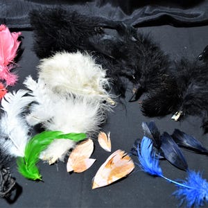 Lot of Vintage Ostrich and Other Feathers, plumes, millinery women&#39;s hats, many colors for crafting or collecting