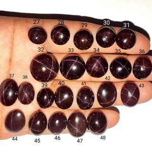 May include: A collection of dark red gemstones, each with a unique star-like pattern, displayed on a hand. The gemstones vary in shape, including round and oval, and are numbered from 27 to 48.