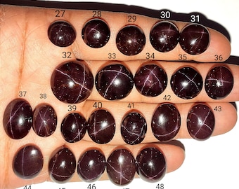 May include: A collection of dark red gemstones, each with a unique star-like pattern, displayed on a hand. The gemstones vary in shape, including round and oval, and are numbered from 27 to 48.