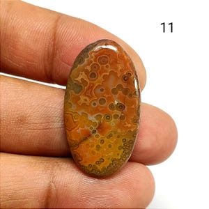 May include: An oval-shaped cabochon gemstone featuring a polished surface with a complex pattern of orange, brown, and yellow circular orbicular inclusions. The stone displays a smooth, glossy finish with distinct natural markings and the number 11.