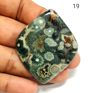May include: A polished, diamond-shaped ocean jasper gemstone cabochon featuring a dark green base with distinct white orbicular patterns, translucent areas, and small patches of brown and black mineral inclusions, marked with the number 19.