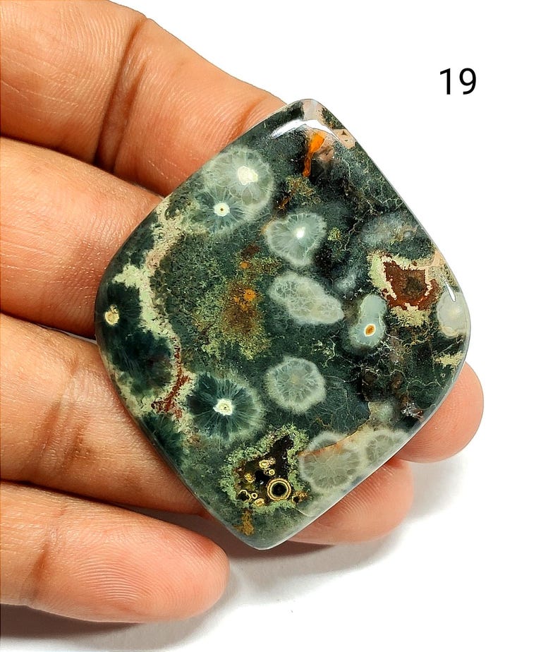 May include: A polished, diamond-shaped ocean jasper gemstone cabochon featuring a dark green base with distinct white orbicular patterns, translucent areas, and small patches of brown and black mineral inclusions, marked with the number 19.