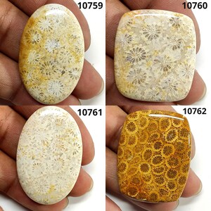 AAA+++Top Quality! Fossil Coral Gemstone, Natural Fossil Coral, Designer Fossil Coral, Hand Crafted Smooth Cabochon, Jewelry Making Stones.