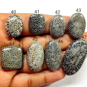 AAA+++Top Quality! Snake Skin Fossil Coral Gemstone, Natural Black Fossil Coral, Designer Fossil Coral, Hand Crafted Smooth Cabochons, 10992