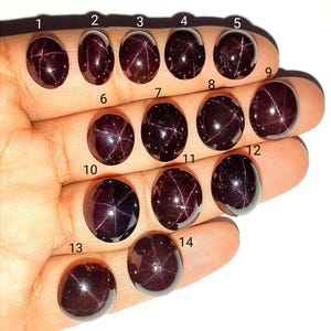 Puede incluir: Una colección de catorce piedras preciosas de color rojo oscuro, cada una con una superficie pulida y redondeada. Las piedras son ovaladas o redondas, y muchas muestran un patrón en forma de estrella de inclusiones claras. Las gemas se exhiben sobre un fondo neutro.