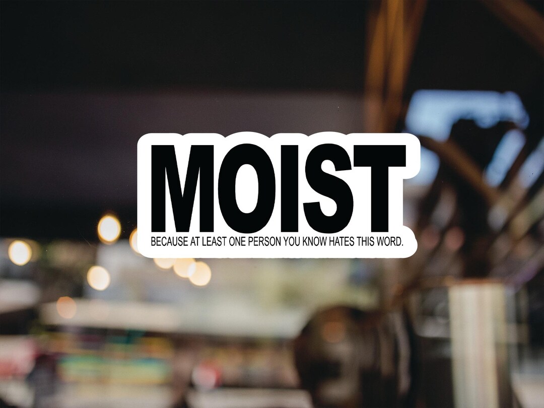 Moist Meme Vinyl Sticker - Funny Car, Laptop, Bumper Decal - Etsy ...