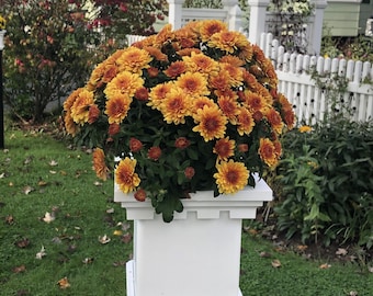 PVC 5inch Fence Post Planter: Weatherproof Vinyl, Open Top