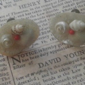 Delicate Beach Themed Shell Screwback Earrings, Marked Japan