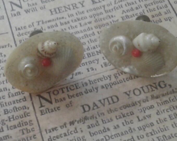 Delicate Beach Themed Shell Screwback Earrings, Marked Japan