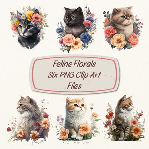 Feline Florals--Zes PNG Clip Art-bestanden--Commercieel gebruik--Instant Download